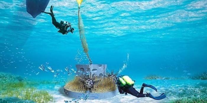 Cap To Sea Eureka A 200 M Centre Naturiste 아그 외부 사진